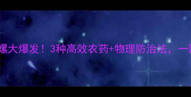 图片 南方水稻田田螺大爆发！3种高效农药+物理防治法，一网打尽保丰收1