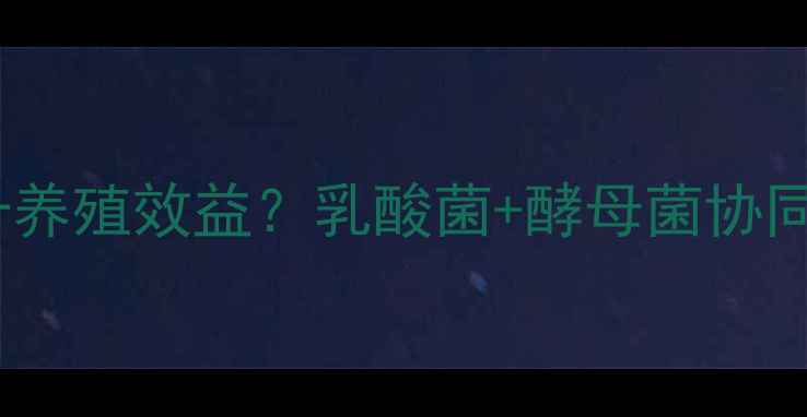 图片 双酸饲料配方如何提升养殖效益？乳酸菌+酵母菌协同发酵的三大核心优势1