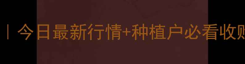 图片 吉林省玉米价格速递｜今日最新行情+种植户必看收购攻略，速存！🌾💰1