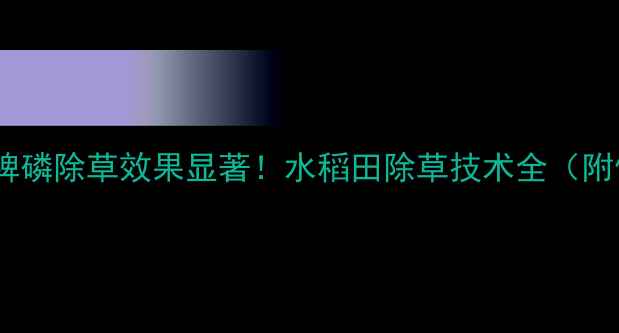 图片 吉林长双莎稗磷除草效果显著！水稻田除草技术全（附使用指南）1