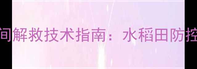 图片 吡虫啉安全使用与田间解救技术指南：水稻田防控方案与误用补救措施