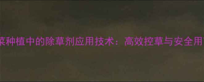 图片 地刺儿菜种植中的除草剂应用技术：高效控草与安全用药指南1