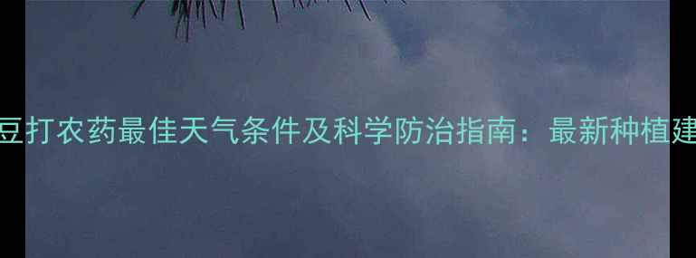 图片 夏豆打农药最佳天气条件及科学防治指南：最新种植建议