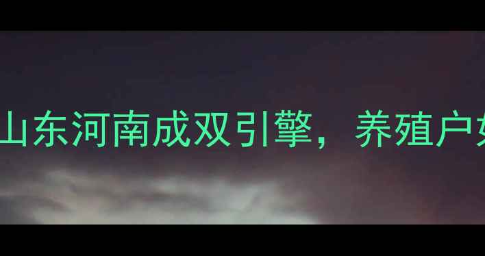 图片 大北农饲料销量破万亿！山东河南成双引擎，养殖户如何借势降本增效？🌾🐄1