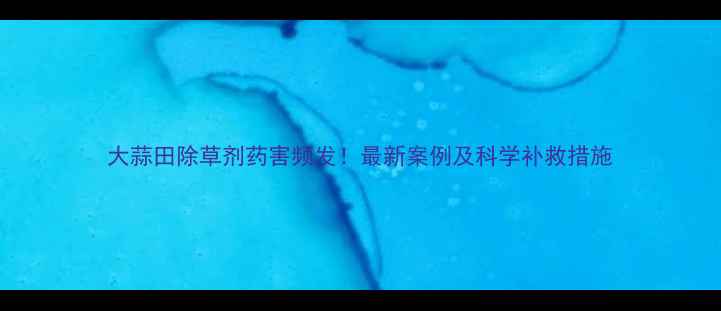 图片 大蒜田除草剂药害频发！最新案例及科学补救措施