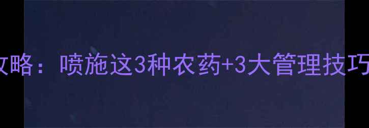 图片 大蒜黄枯防治全攻略：喷施这3种农药+3大管理技巧，快速挽回损失1