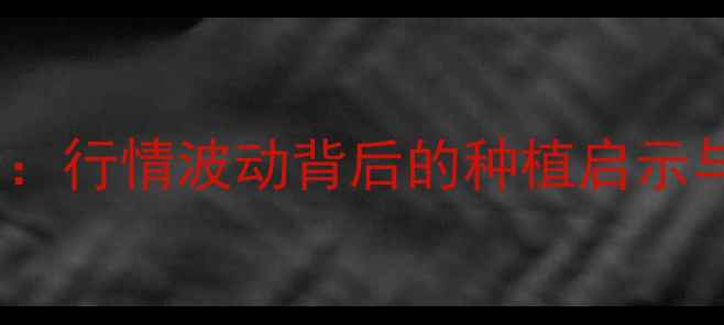 图片 大豆价格全：行情波动背后的种植启示与政策影响1