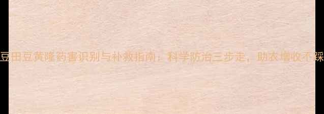 图片 大豆田豆黄隆药害识别与补救指南：科学防治三步走，助农增收不踩坑