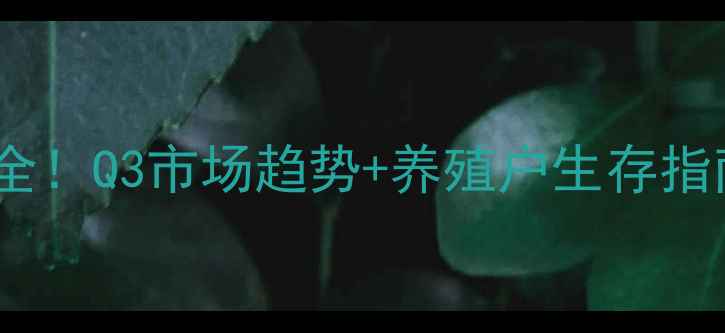 图片 宜昌鸡蛋价格波动全！Q3市场趋势+养殖户生存指南（附实时数据）1