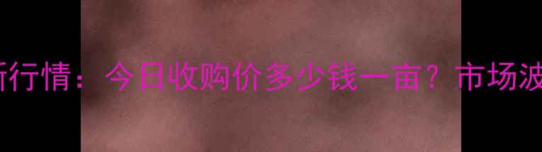 图片 宝坻玉米价格最新行情：今日收购价多少钱一亩？市场波动与未来趋势全1