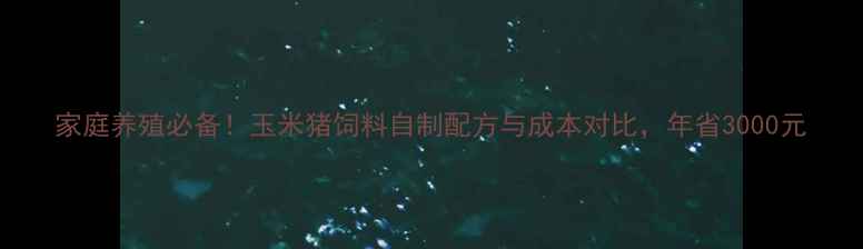 图片 家庭养殖必备！玉米猪饲料自制配方与成本对比，年省3000元