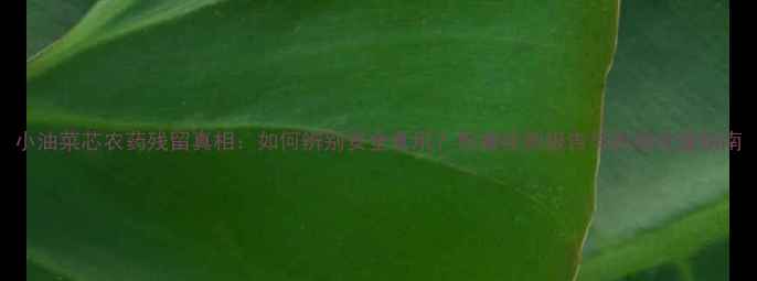 图片 小油菜芯农药残留真相：如何辨别安全食用？权威检测报告与农残处理指南