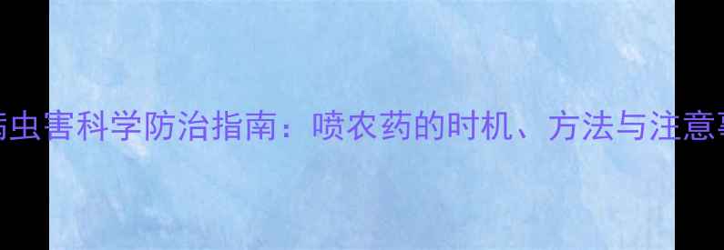 图片 小麦病虫害科学防治指南：喷农药的时机、方法与注意事项全