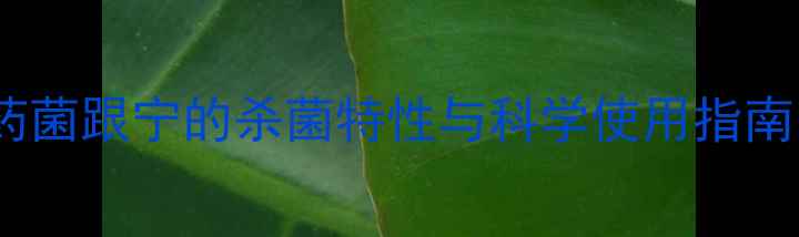 图片 小麦锈病高效克星！农药菌跟宁的杀菌特性与科学使用指南（附作物防治全攻略）1