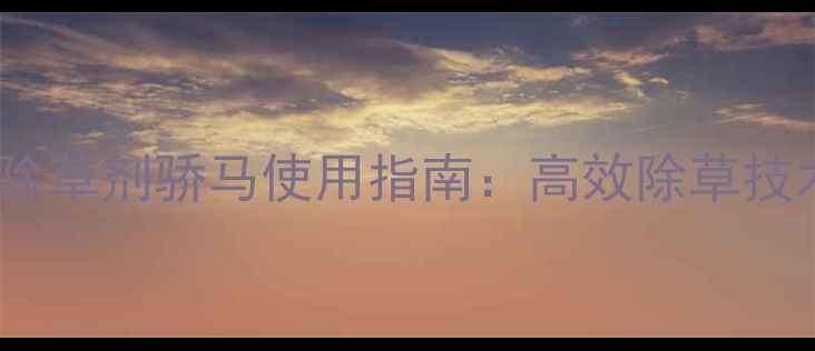 图片 小麦除草剂骄马使用指南：高效除草技术全1