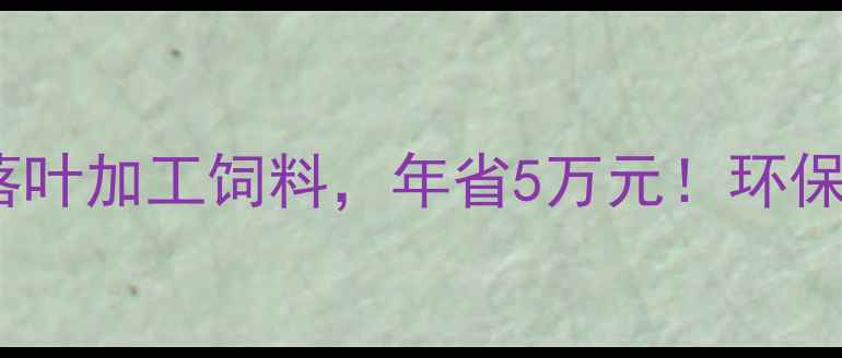 图片 山东农民用落叶加工饲料，年省5万元！环保养殖新思路1