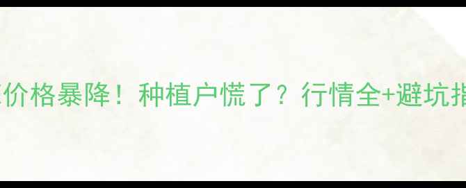 图片 山东大蒜价格暴降！种植户慌了？行情全+避坑指南💥🌱1