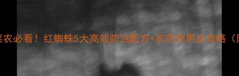 图片 山东寿光菜农必看！红蜘蛛5大高效防治配方+农药使用全攻略（附识别图）