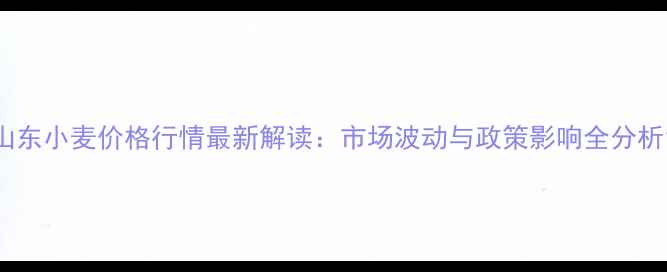 图片 山东小麦价格行情最新解读：市场波动与政策影响全分析1