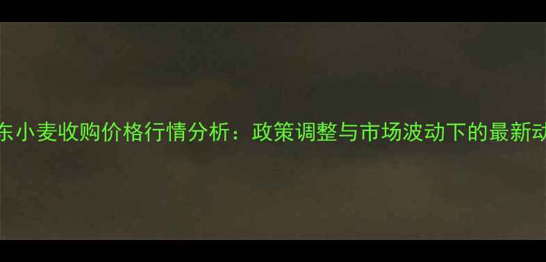 图片 山东小麦收购价格行情分析：政策调整与市场波动下的最新动态