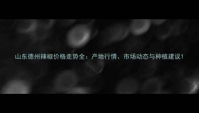 图片 山东德州辣椒价格走势全：产地行情、市场动态与种植建议1