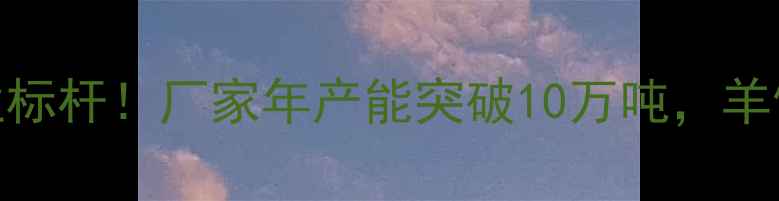 图片 山东羊饲料行业标杆！厂家年产能突破10万吨，羊饲料生产全流程