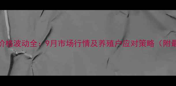 图片 山东鸡蛋价格波动全：9月市场行情及养殖户应对策略（附最新数据）