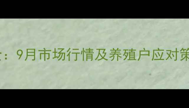 图片 山东鸡蛋价格波动全：9月市场行情及养殖户应对策略（附最新数据）1