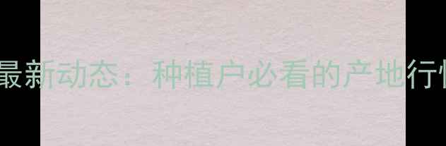 图片 山西长治玉米价格最新动态：种植户必看的产地行情与市场走势分析1