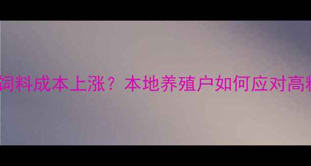图片 广东塘虱饲料成本上涨？本地养殖户如何应对高粮价挑战1