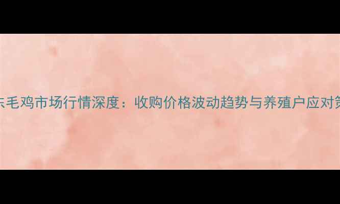 图片 广东毛鸡市场行情深度：收购价格波动趋势与养殖户应对策略