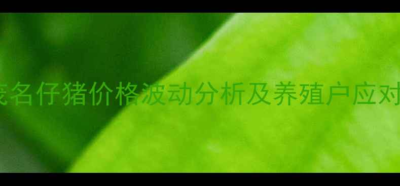 图片 广东茂名仔猪价格波动分析及养殖户应对策略1