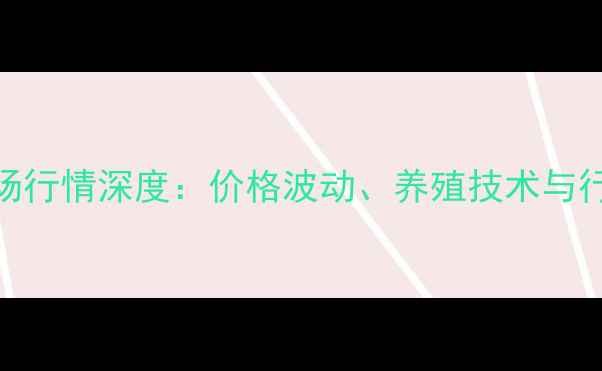 图片 广西鸡肉类市场行情深度：价格波动、养殖技术与行业趋势全指南