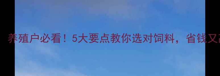 图片 徐汇区饲料选料指南：养殖户必看！5大要点教你选对饲料，省钱又高效（附最新报价）1