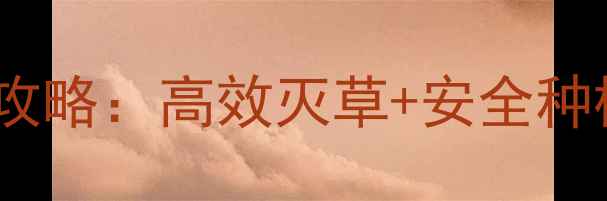 图片 德州除草剂使用全攻略：高效灭草+安全种植指南（最新版）1