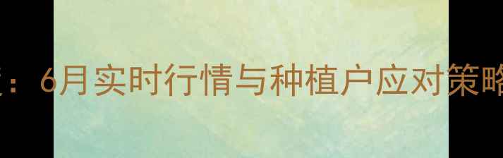 图片 成都玉米价格波动深度：6月实时行情与种植户应对策略（附每日数据更新）1
