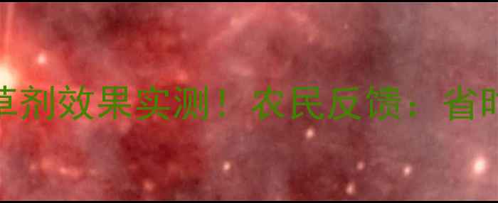 图片 新型玉米除草剂效果实测！农民反馈：省时省力还环保