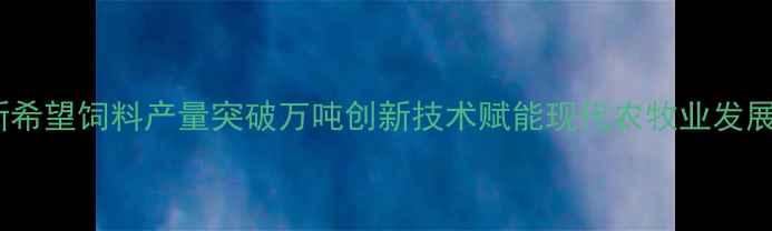 图片 新希望饲料产量突破万吨创新技术赋能现代农牧业发展1