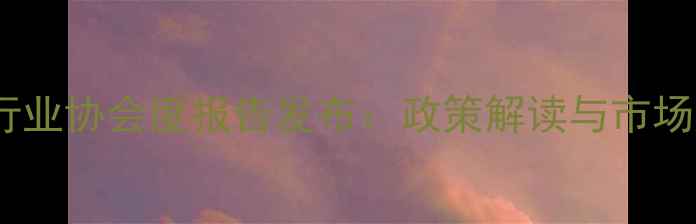 图片 昆明农药行业协会度报告发布：政策解读与市场趋势分析1