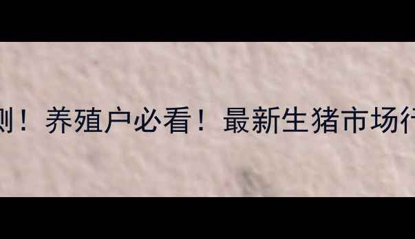 图片 明日全国大猪价格预测！养殖户必看！最新生猪市场行情+养殖技术干货全1
