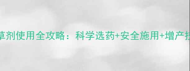 图片 普洱市蚕豆种植除草剂使用全攻略：科学选药+安全施用+增产技巧，助农增收指南