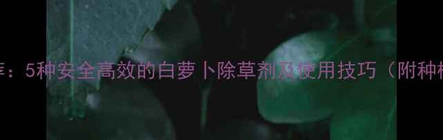 图片 最新推荐：5种安全高效的白萝卜除草剂及使用技巧（附种植案例）