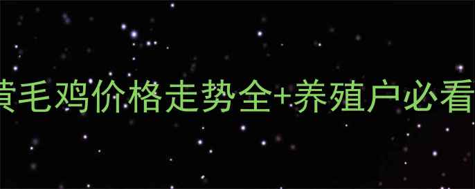图片 最新行情三黄毛鸡价格走势全+养殖户必看避坑指南🔥1