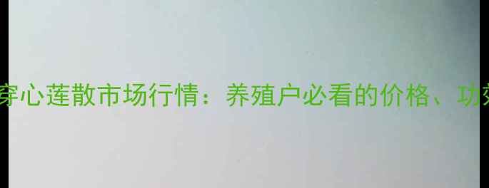 图片 最新鸡用四味穿心莲散市场行情：养殖户必看的价格、功效与使用指南1