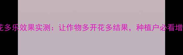 图片 最新！花多乐效果实测：让作物多开花多结果，种植户必看增产秘籍1