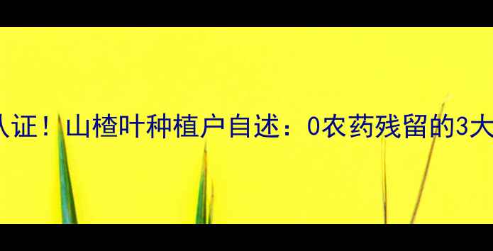 图片 权威检测认证！山楂叶种植户自述：0农药残留的3大核心秘诀1
