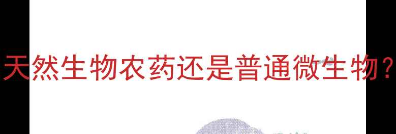 图片 枯芽胞杆菌：天然生物农药还是普通微生物？农业应用全1