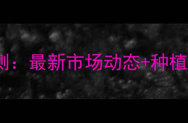 图片 棉花价格走势预测：最新市场动态+种植户必看避坑指南1