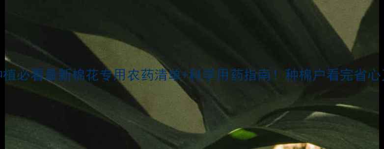图片 棉花种植必看最新棉花专用农药清单+科学用药指南！种棉户看完省心又增收