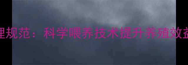 图片 母猪产房饲料管理规范：科学喂养技术提升养殖效益的五大核心措施